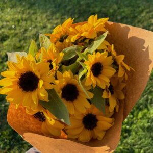SUNscription - Standard Orange